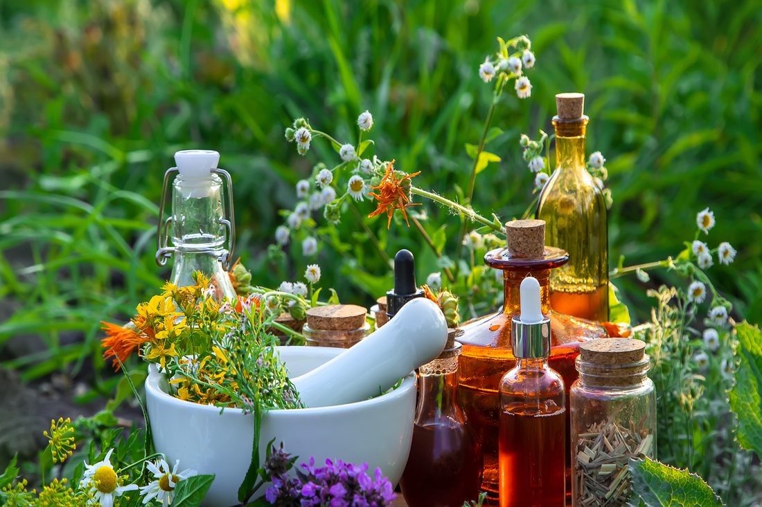 The Benefits of Aromatherapy