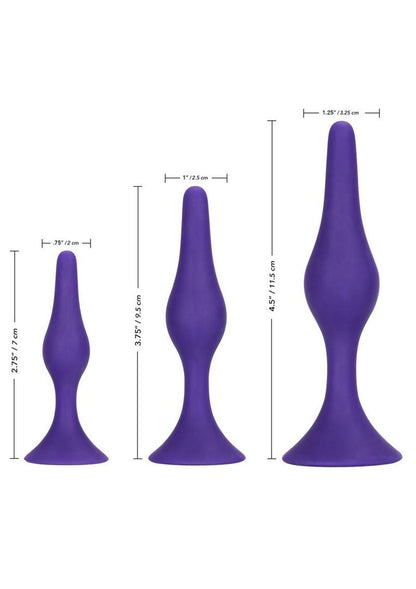 Booty Call Booty Trainer Starter Kit Silicone Anal Plugs 3 Assorted Sizes