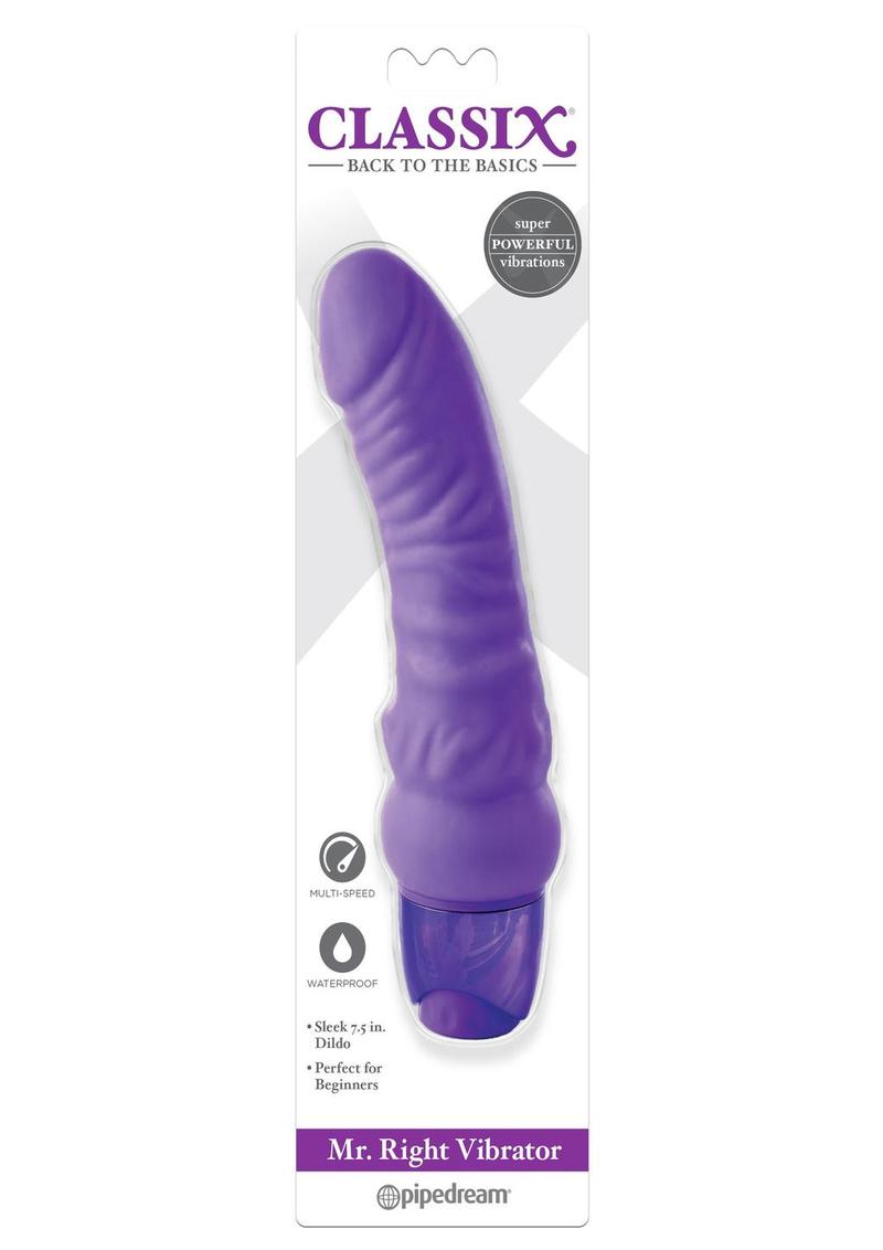 Classix Mr. Right Vibrator - Purple