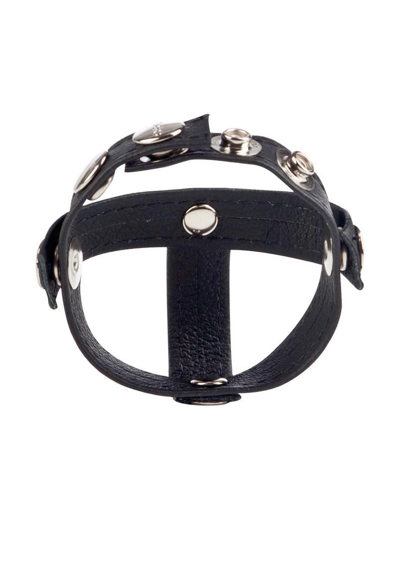 Colt Leather C/B Strap H-Piece Divider Cock Ring - Black