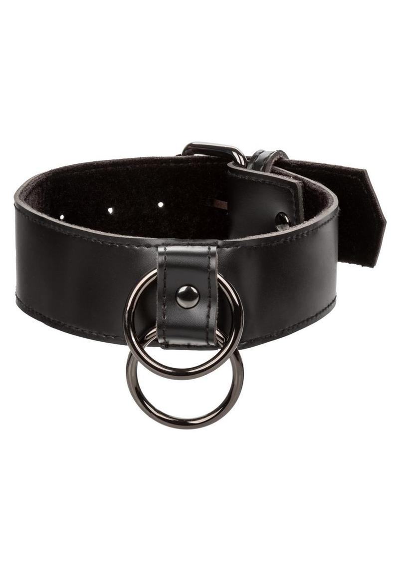 Euphoria Collection Collar with Chain Leash - Black