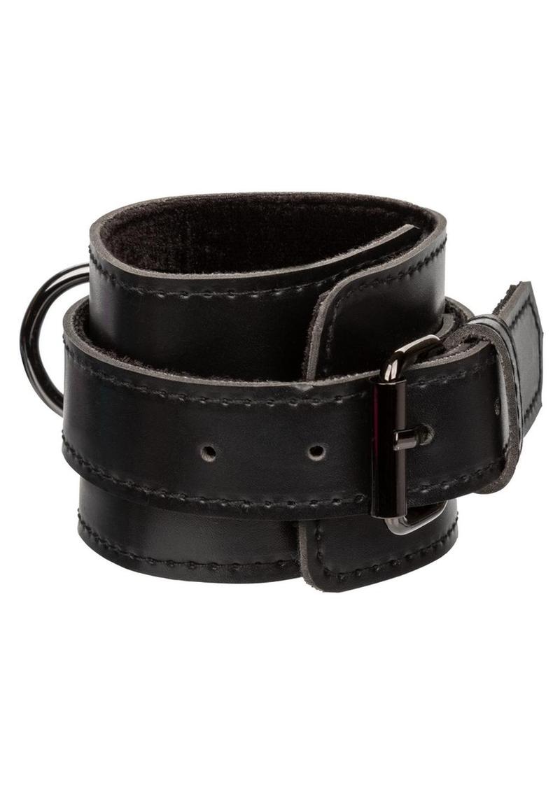 Euphoria Collection Hog Tie - Black