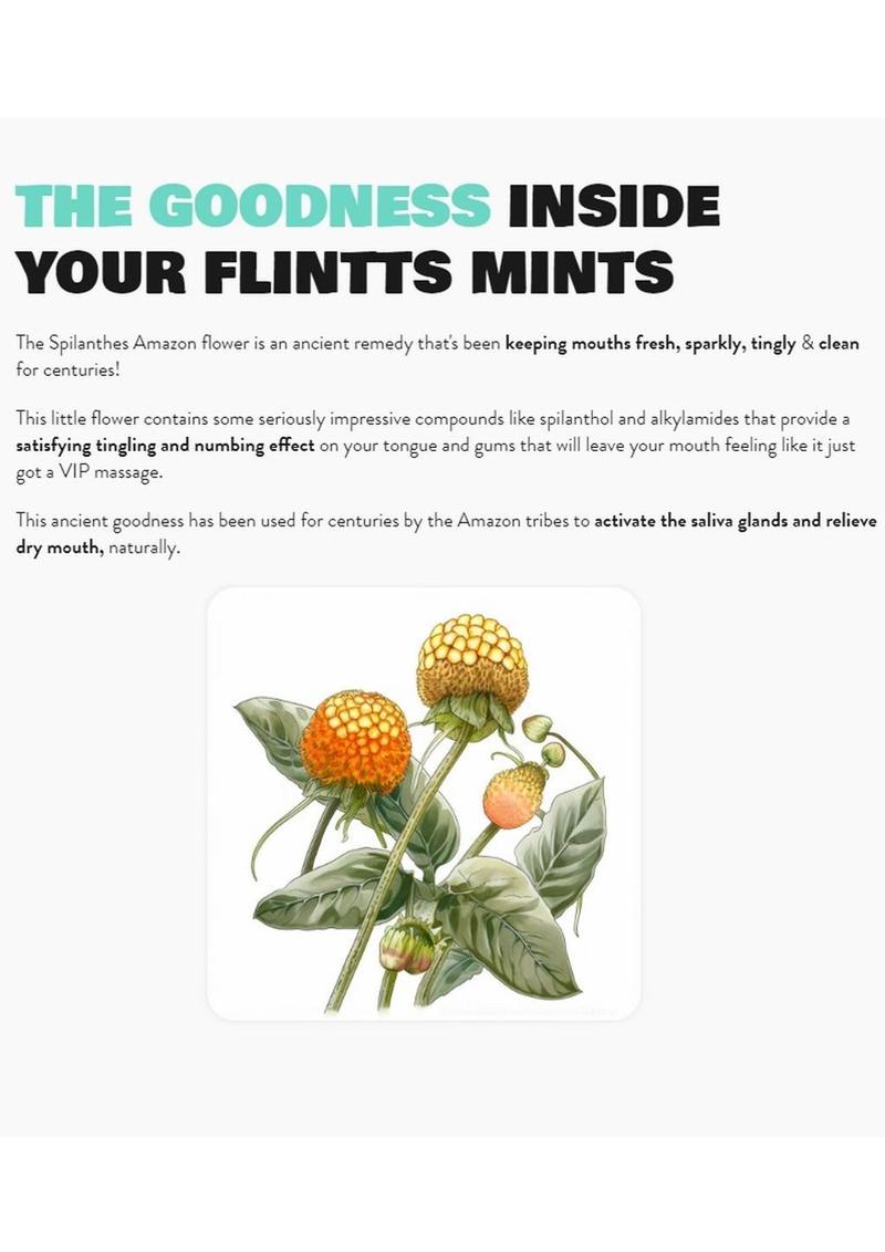 Flintts Mints Mouth Watering Oral Delights - Cool Watermelon