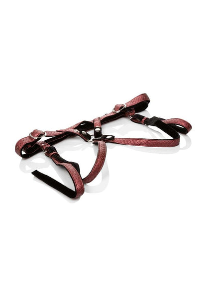 Her Royal Harness The Regal Duchess Adjustable Harness