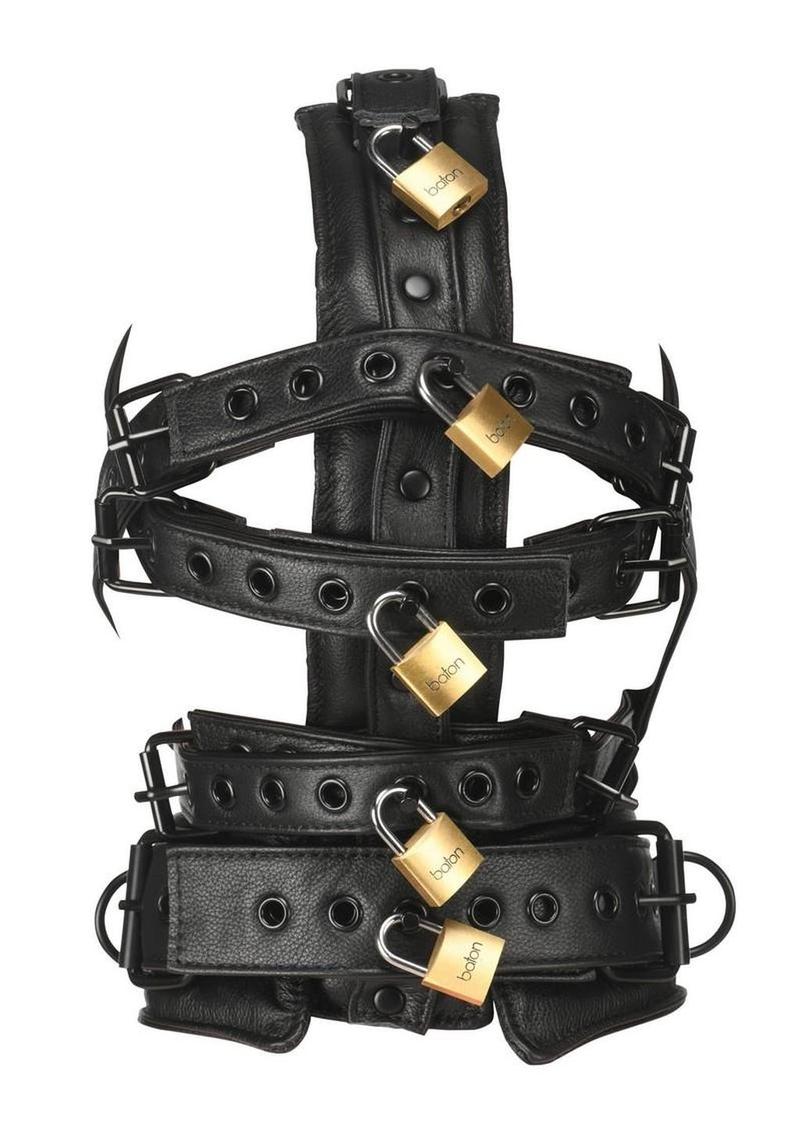 Master Series Leather Head Harness with Muzzle