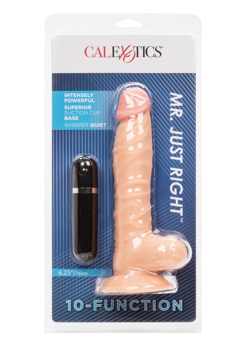 Mr Just Right Vibrating Dildo with Bullet