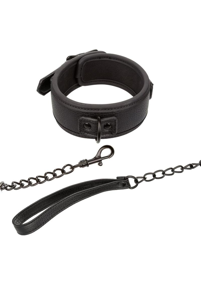 Nocturnal Collection Collar and Leash - Black