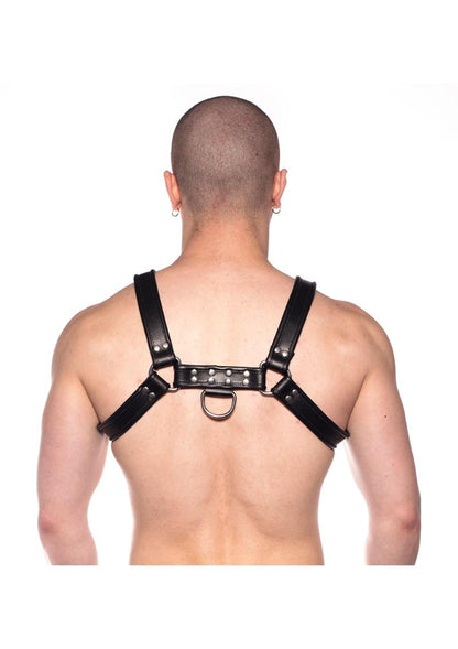 Prowler Red Bull Harness - Black - Large