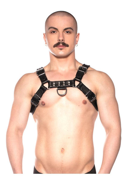 Prowler Red Bull Harness - Black - Large