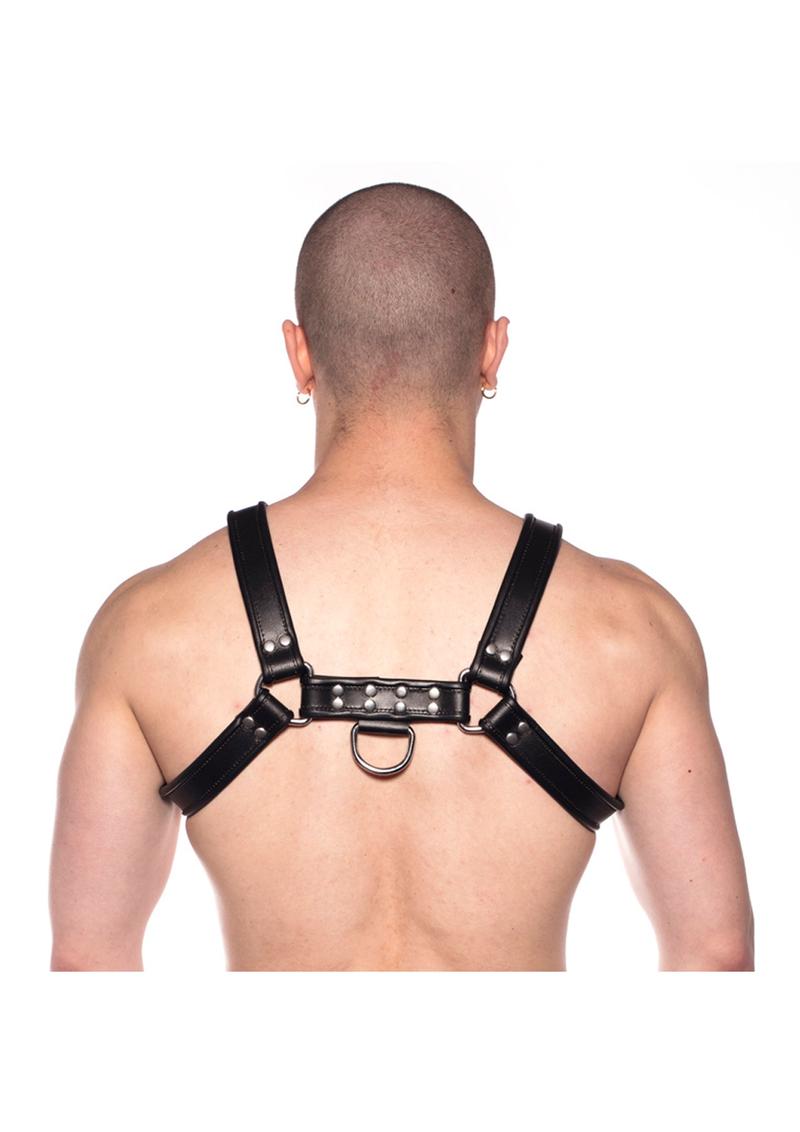 Prowler Red Bull Harness - Black - XLarge