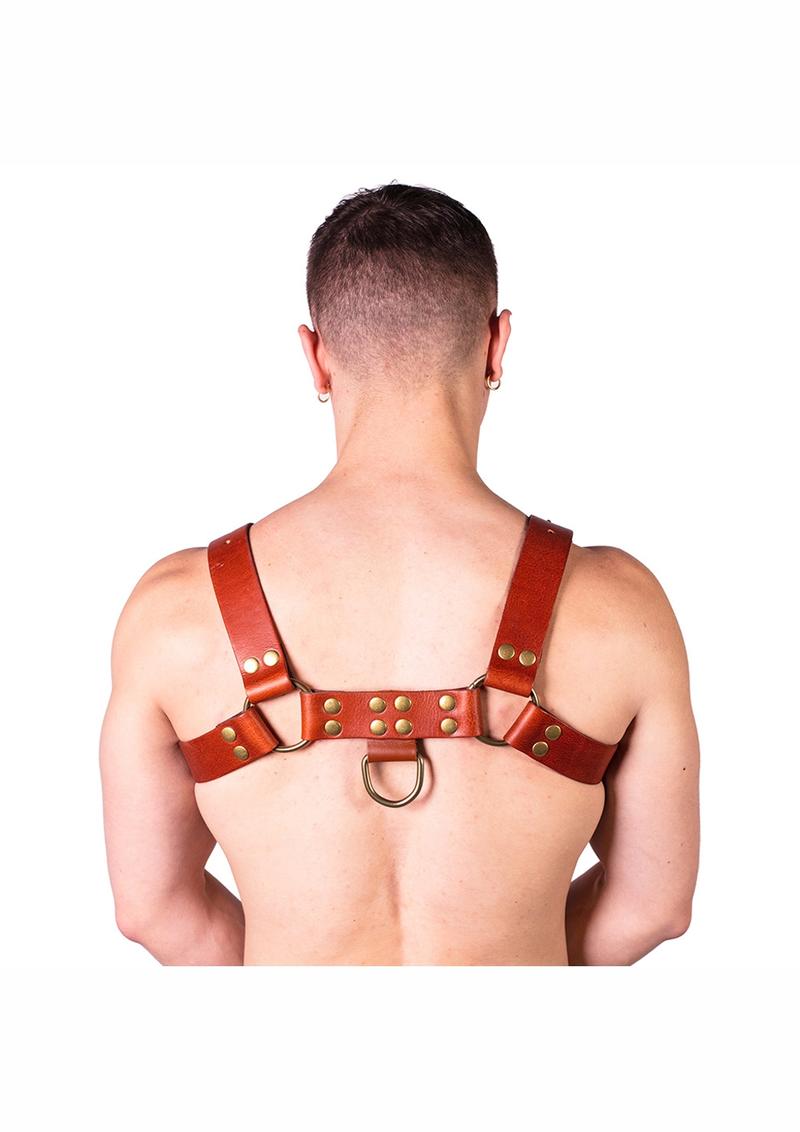 Prowler Red Butch Harness - Small - Brown/Brass - Brown - Small