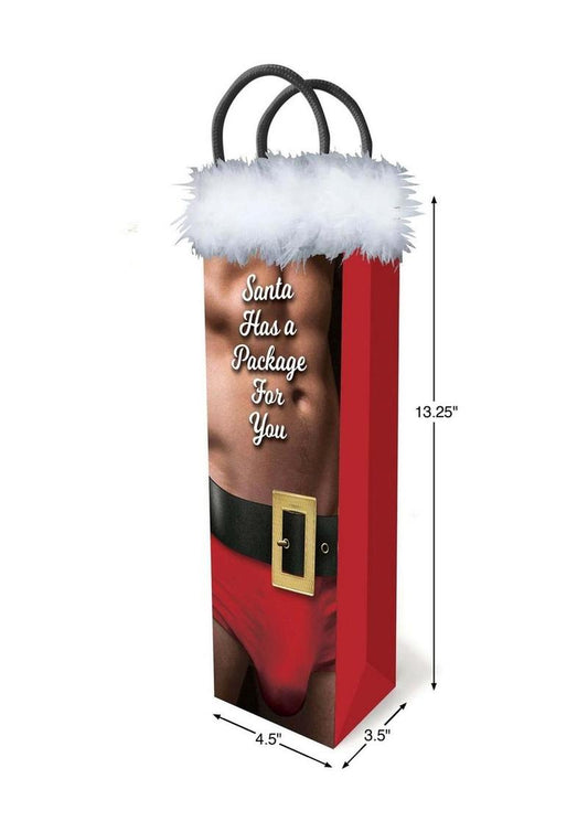 Santa Has A Big Package For You - Gift Bag