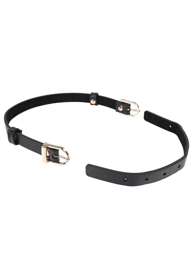 Sex and Mischief Double Buckle Day Collar - Black/Gold