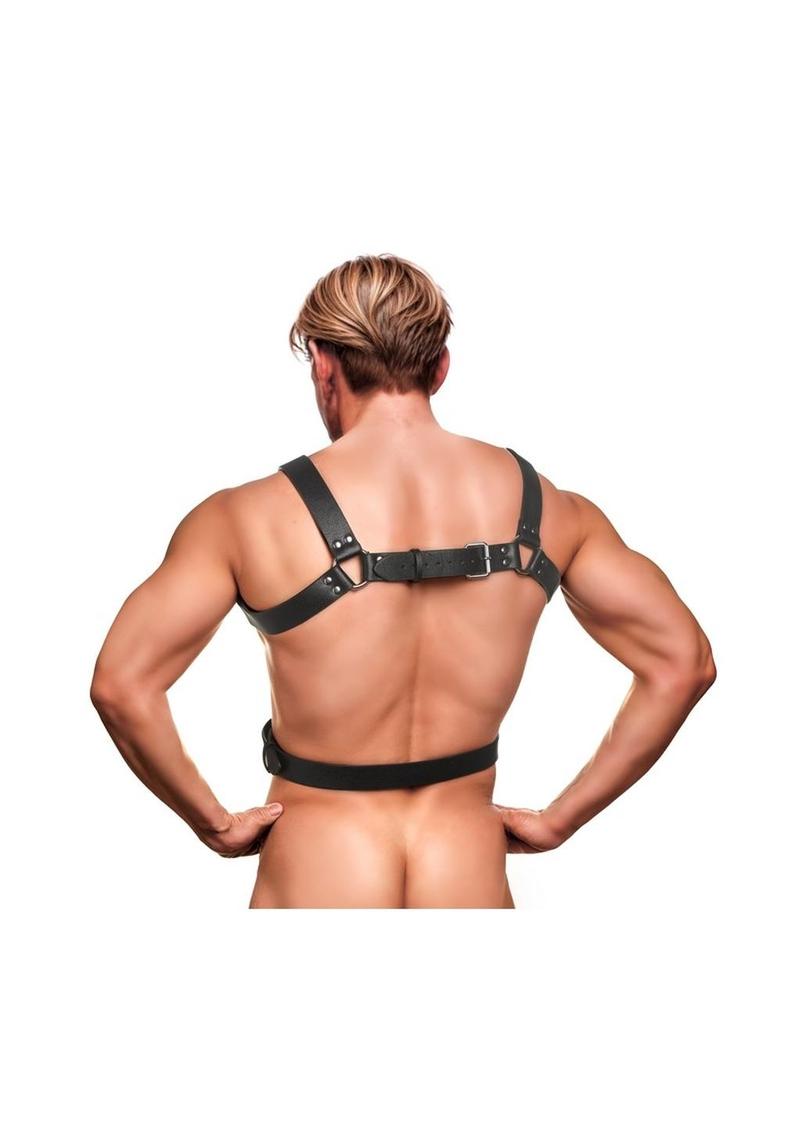 Strict 6 O-Ring Chest Harness