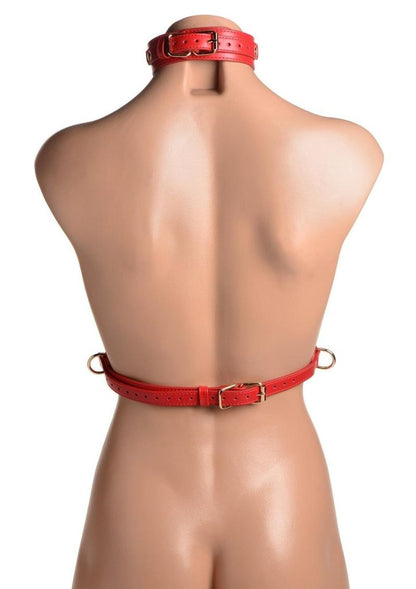 Strict Female Chest Harness - Metal/Red - Large/Medium